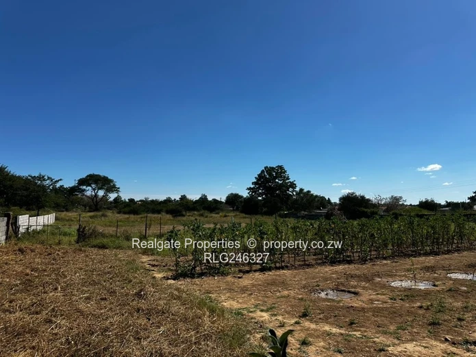 Sunninghill Stand (1 Acer) (Sole Mandate)
