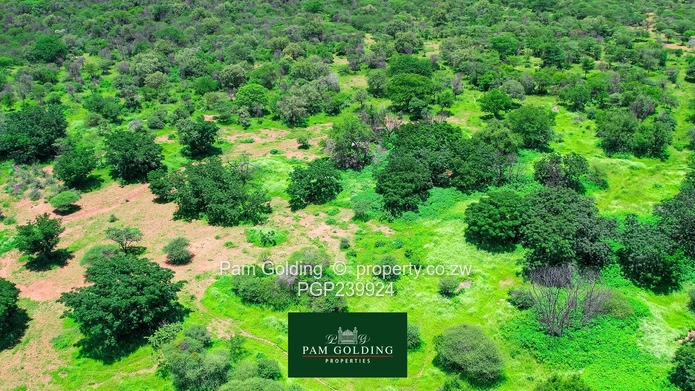 Queens Park East land for sale