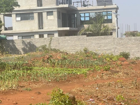 Stands & Residential Land