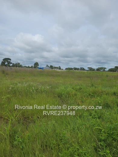 Norton Mwashuma Park Commercial stand