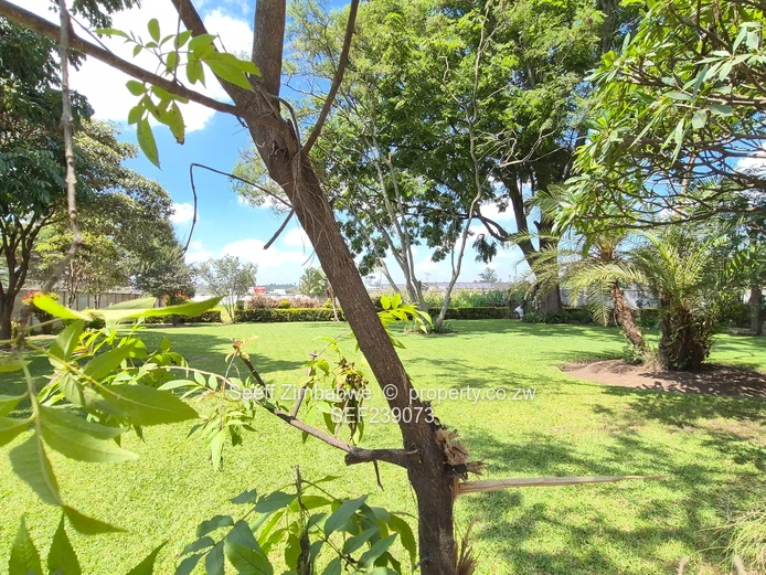 Prime Investment in a brilliant location (Sole Mandate)