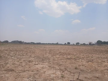 Farm & Agricultural Land