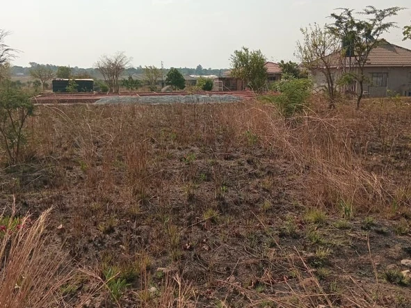 Stands & Residential Land