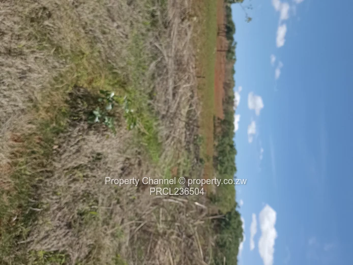 Pomona Serviced Residential & Commercial Stands in Wild Geese, Buckland Gated Community