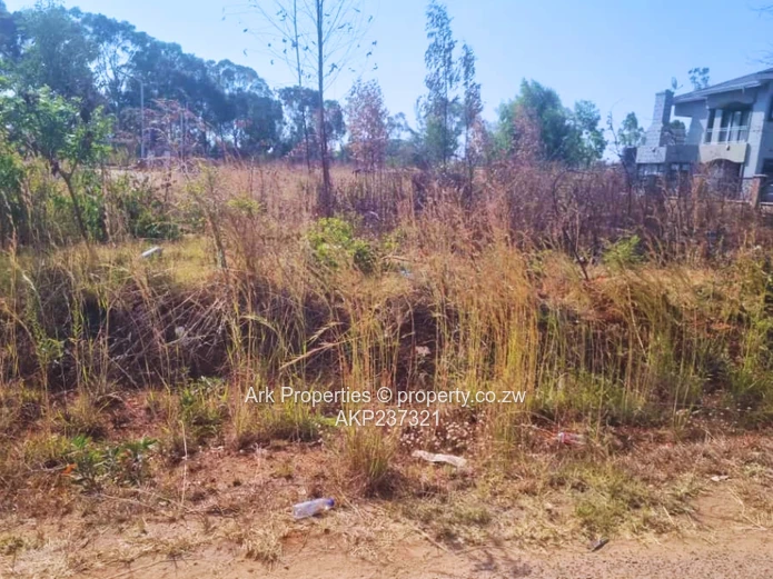 For Sale | Vacant Stand – Arlington Estate