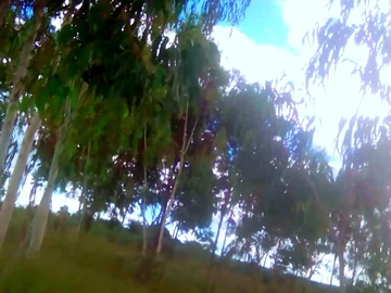 Farm & Agricultural Land
