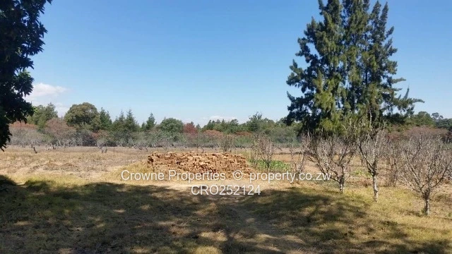 Plot For Sale