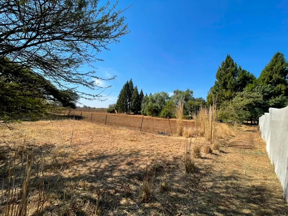 Farm & Agricultural Land