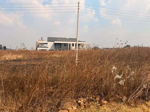 Stands & Residential Land