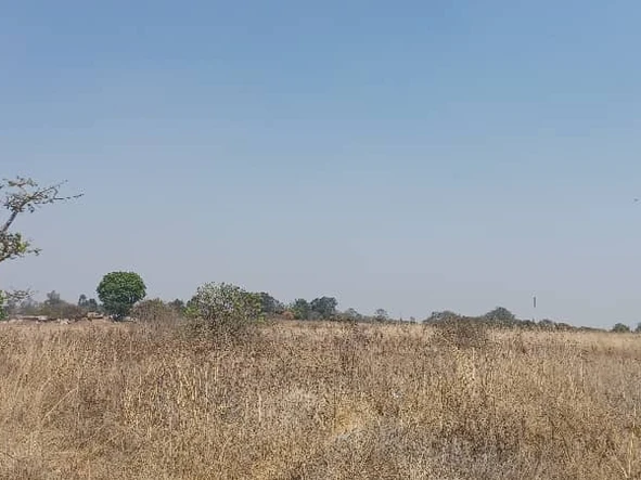 Farm & Agricultural Land