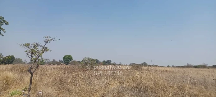 5.2 hectares Farmland. (Sole Mandate)