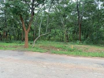 Beautiful well treed acre of land