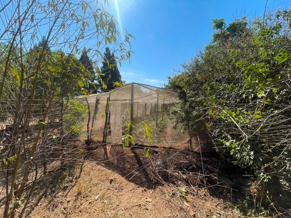 Farm & Agricultural Land