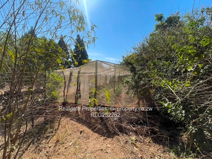  Prime 5-Acre Plot For Sale | Douglasdale