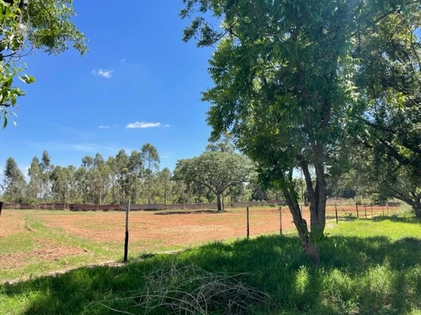 Farm & Agricultural Land