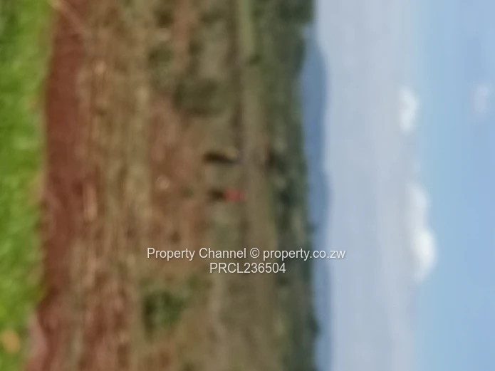 Pomona Serviced Residential & Commercial Stands in Wild Geese, Buckland Gated Community