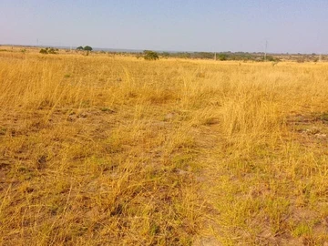 Commercial & Industrial Land