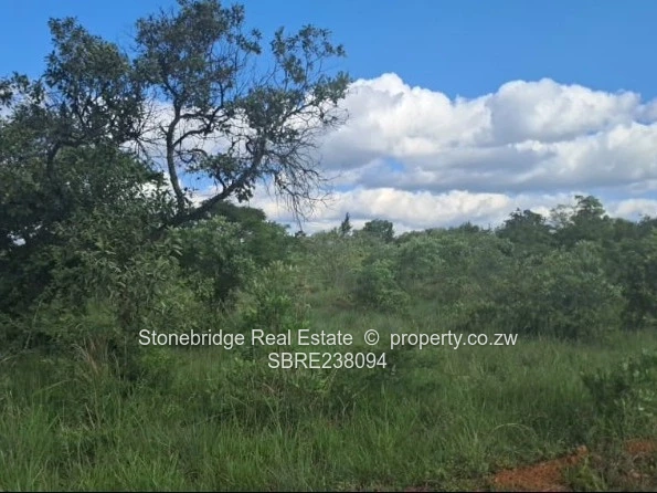 4.7 Square Meter Stand in Burnside for sale