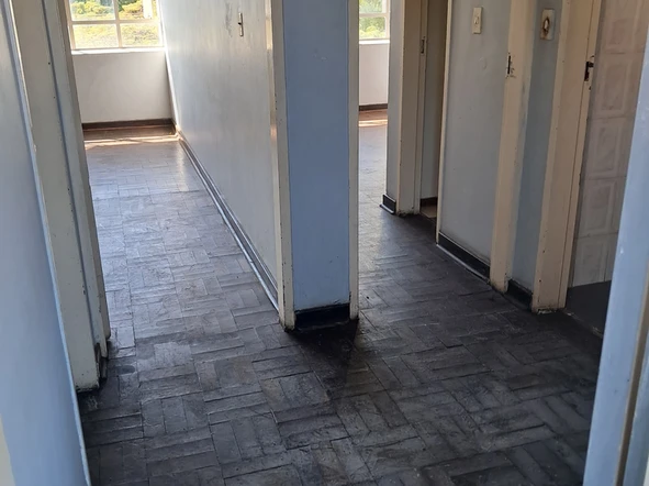 Flat & Apartment