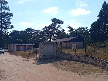 Farm & Agricultural Land