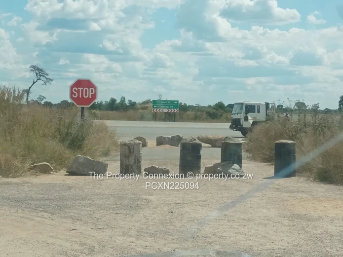 Investment opportunity alert