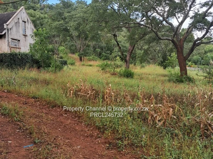 Stand For Sale In Borrowdale Brooke Ridge