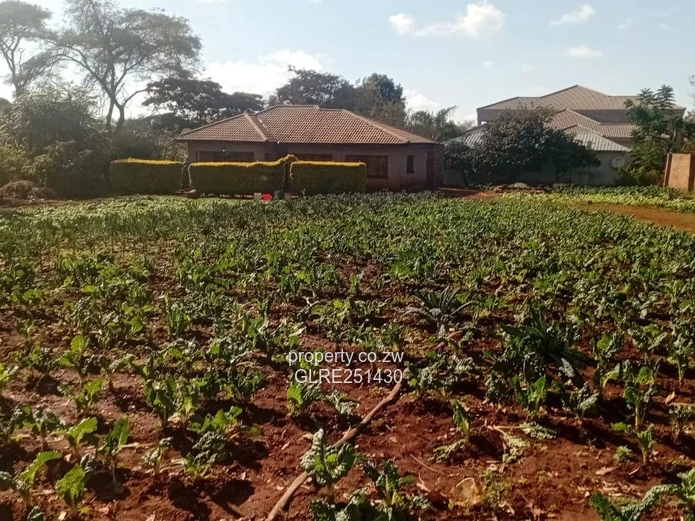 2164 m² Shawasha Hills Stand — Home & Garden Plot