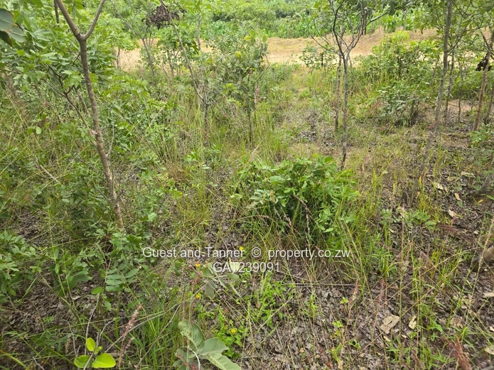 2159sqm Marondera low density residential stand for sale