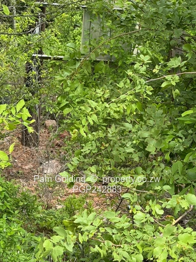 Lake View Development Stand