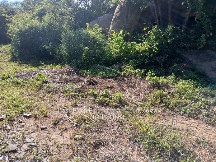 Nyanga Vacation Plots!! Limited!