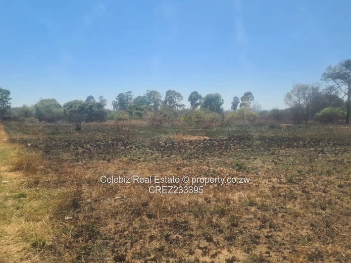 Norton plot for sale 