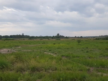 Ruwa Greenskye stand for sale