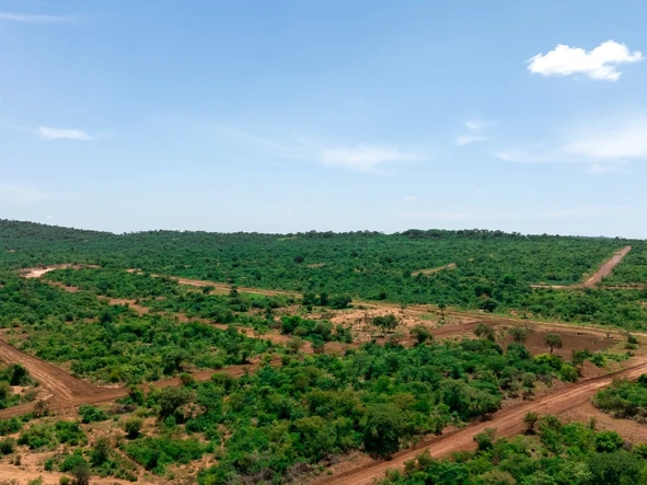 Farm & Agricultural Land