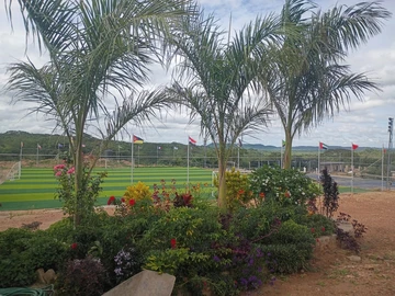 Stands & Residential Land