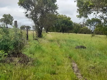 Farm & Agricultural Land