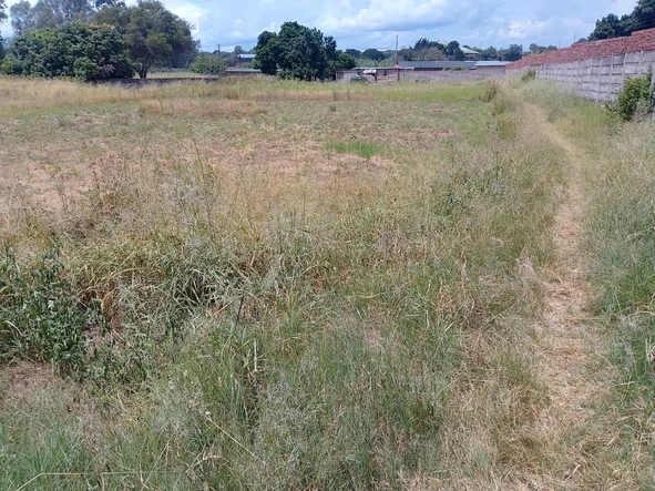 Stands & Residential Land