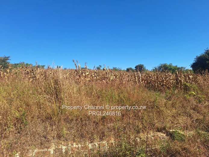 Your Dream Home Starts Here . . .