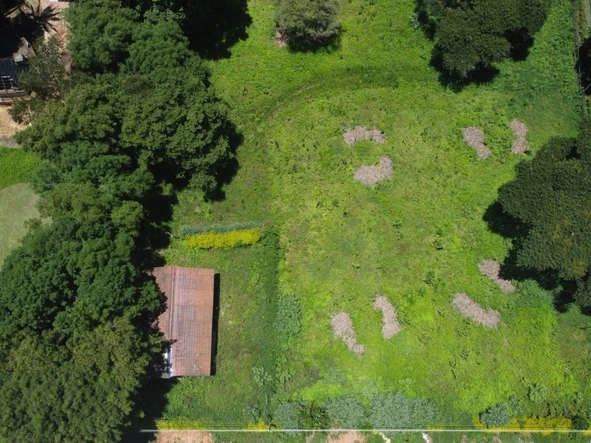 Commercial & Industrial Land