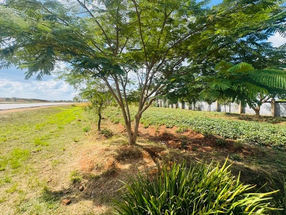 Farm & Agricultural Land