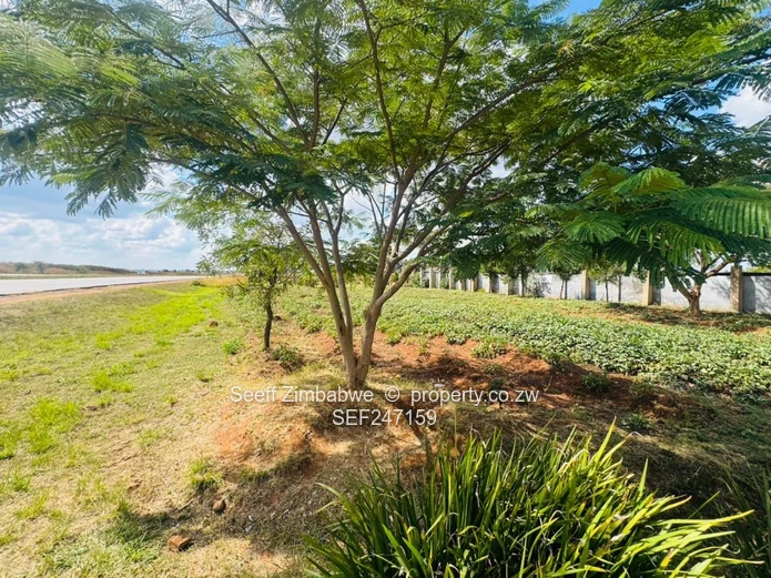 Prime Multi-Purpose Plot | Knowe, Norton