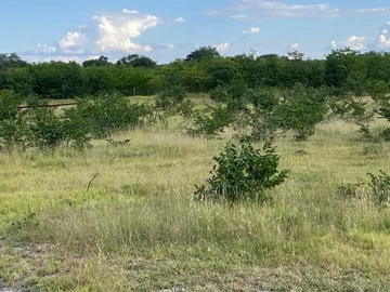 Commercial & Industrial Land