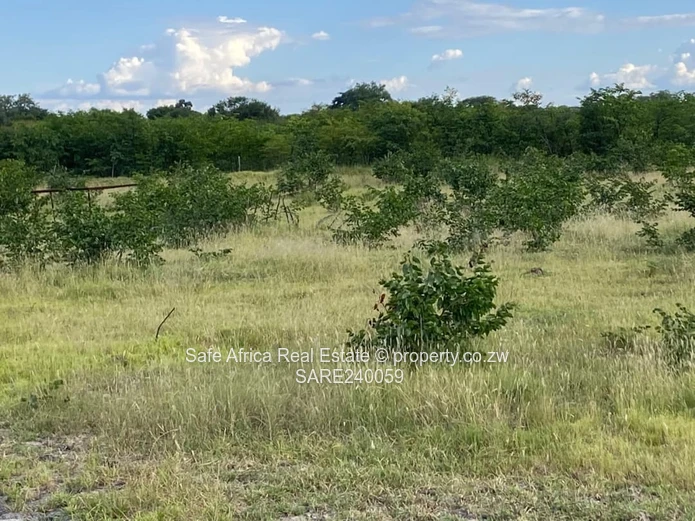Commercial Property Reduced To Go In Kadoma