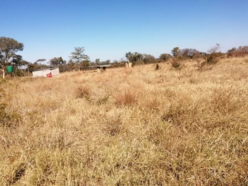 Farm & Agricultural Land