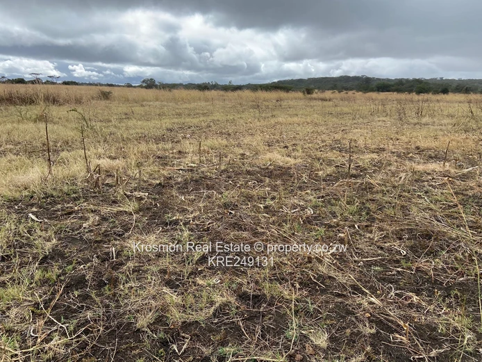 Plot For Sale