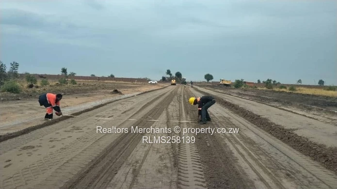 Golden Estate Amalinda Stands For Sale