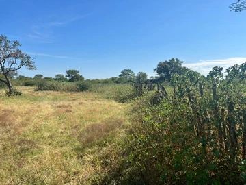 Farm & Agricultural Land