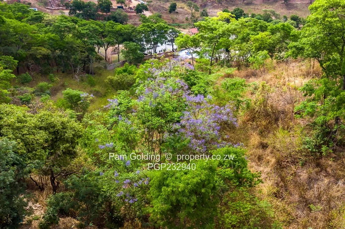 Cut the hill and build on rugged terrain with breathtaking views