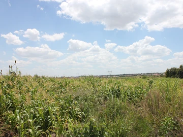 Commercial & Industrial Land