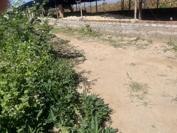 Farm & Agricultural Land