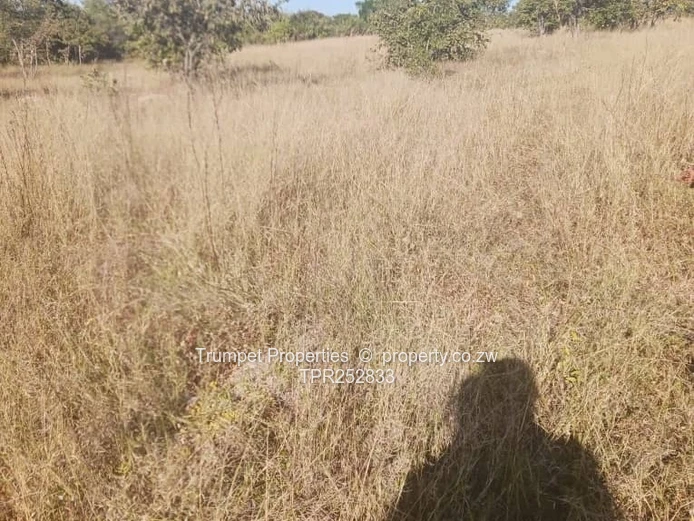 5ha Arable Grazing Farm in Goromonzi - Gravel Access (Sole Mandate)